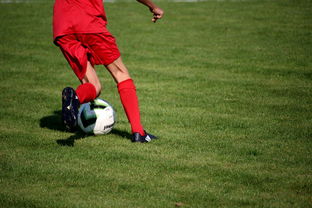 爱游戏app下载-意甲裁判语义分析系统在比赛判罚中的应用研究,意甲第三轮裁判