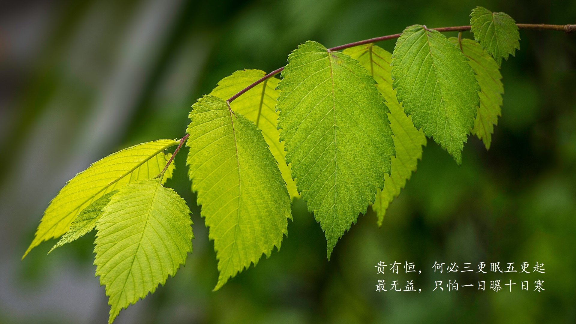 爱游戏官网-世俱杯决赛提前预演:两强激烈碰撞,世俱杯集锦